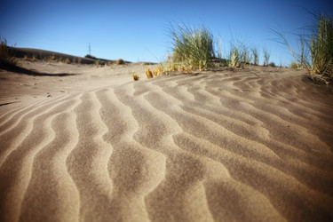 Similar image 22580456