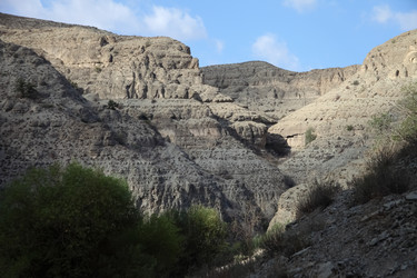 Similar image 22580458