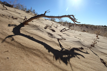 Similar image 22580486