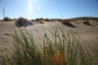 Similar image 22580502