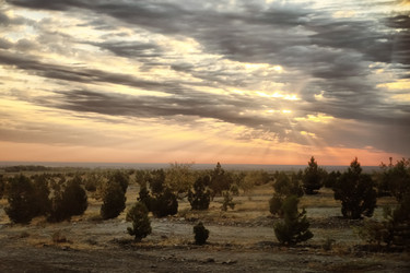 Similar image 22580504