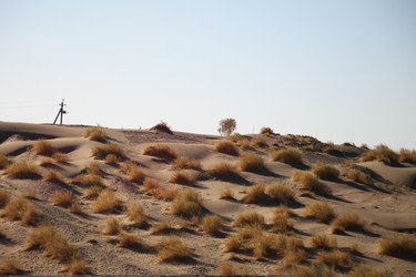 Similar image 22580505