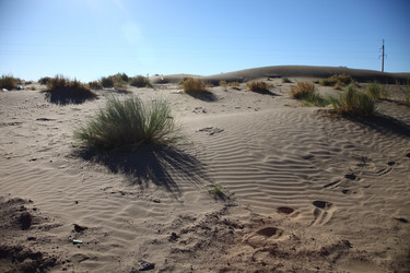 Similar image 22580506