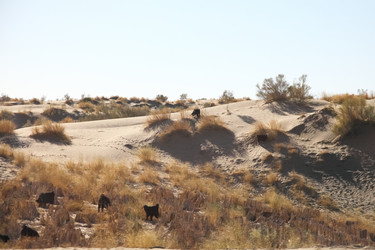 Similar image 22580507