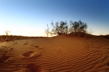 Similar image 22580519