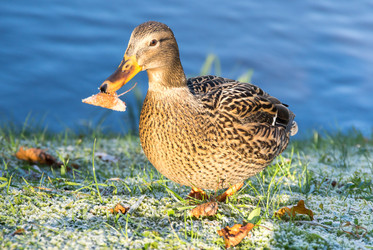 Similar image 22578544