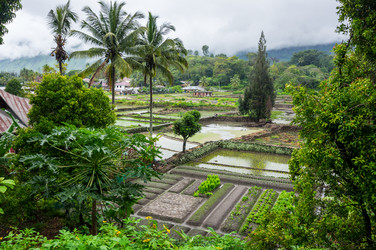 Similar image 22578545