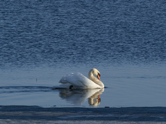 Similar image 22564084