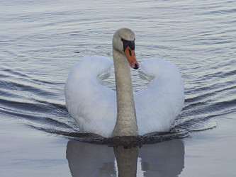 Similar image 22564085