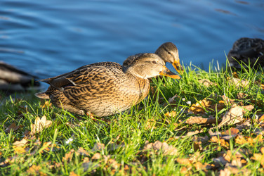 Similar image 22578553