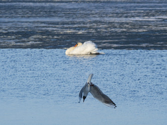 Similar image 22564086