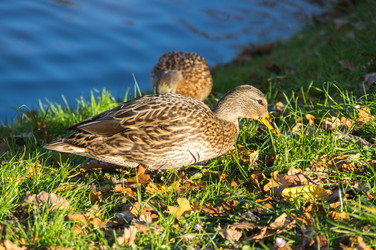 Similar image 22578558