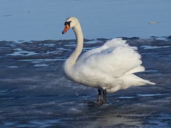 Similar image 22564087