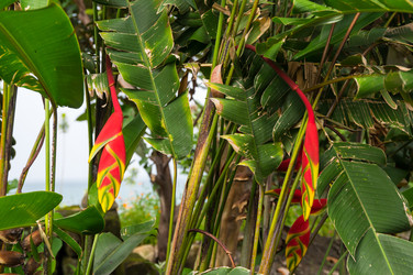 Similar image 22578572