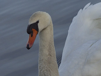 Similar image 22564088