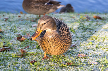 Similar image 22578583