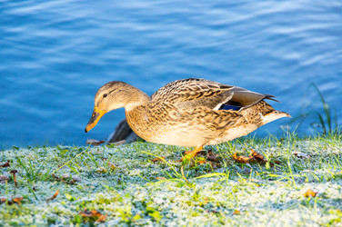 Similar image 22578584