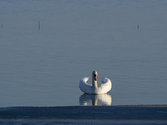 Similar image 22564090