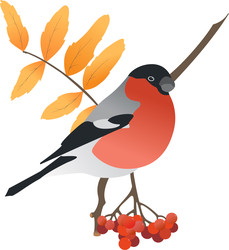 Similar image 22580960