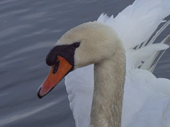 Similar image 22564091