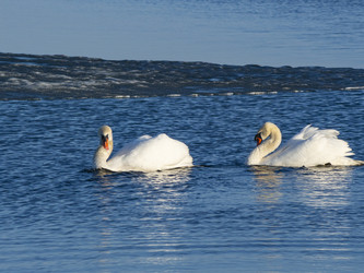 Similar image 22564092