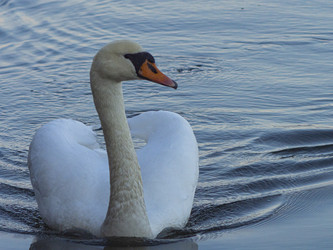 Similar image 22564080