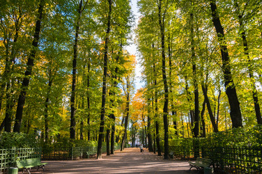 Similar image 22578615