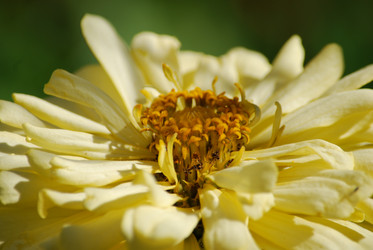 Similar image 22578014