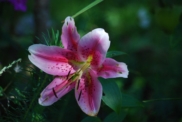 Similar image 22578016