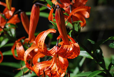 Similar image 22578017