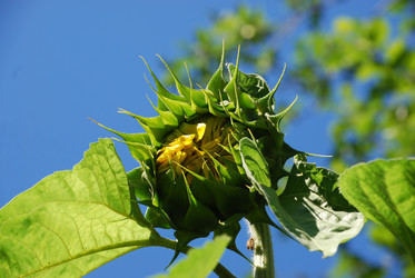 Similar image 22578018