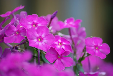 Similar image 22578019