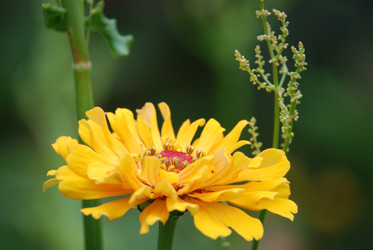 Similar image 22578020