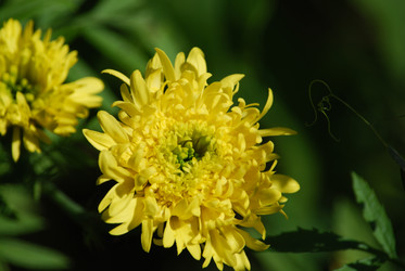 Similar image 22578021