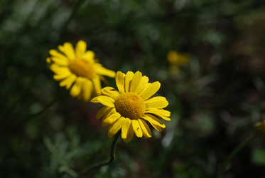 Similar image 22578022