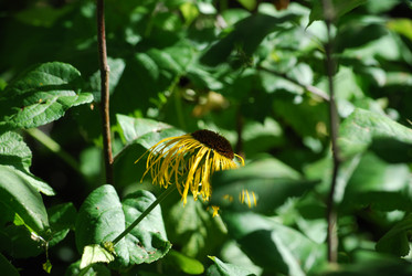 Similar image 22578024