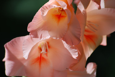 Similar image 22578025