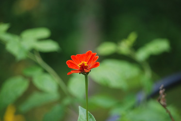 Similar image 22578026