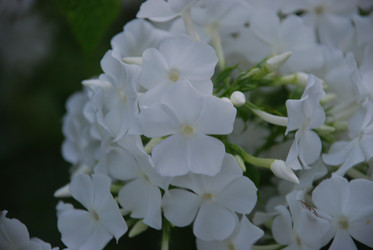 Similar image 22578028