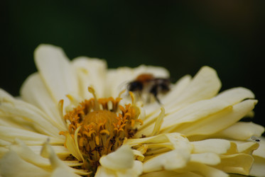 Similar image 22578029