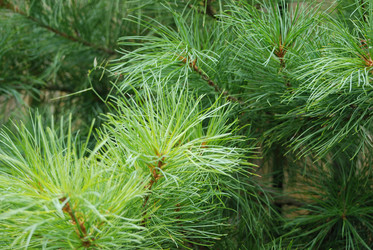 Similar image 22578030