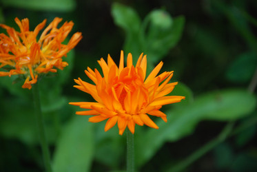 Similar image 22578031