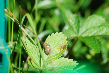 Similar image 22578032