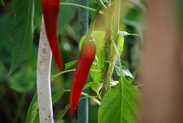 Similar image 22578033