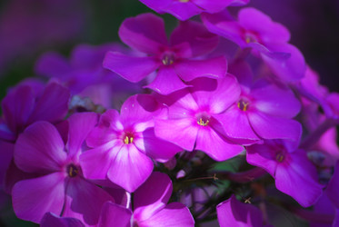 Similar image 22578034