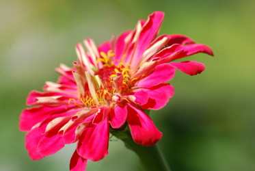 Similar image 22578035