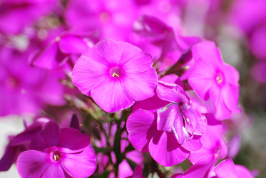 Similar image 22578036