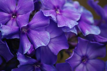 Similar image 22578037