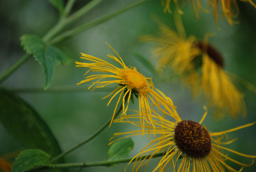 Similar image 22578038