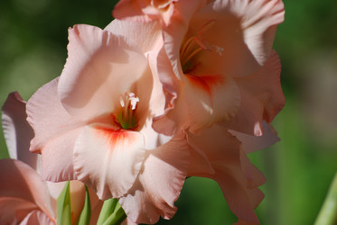 Similar image 22578039